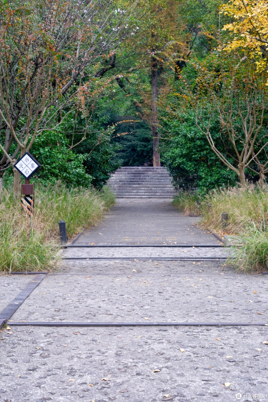 手动镜头慢时光-白塔公园八羽怪手动实拍表现