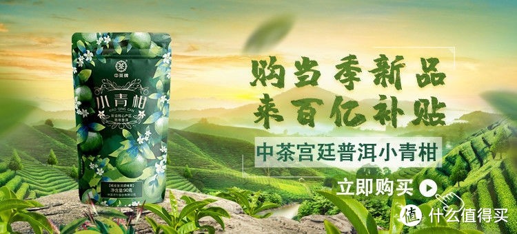 中茶小青柑袋装90g 品鉴指南