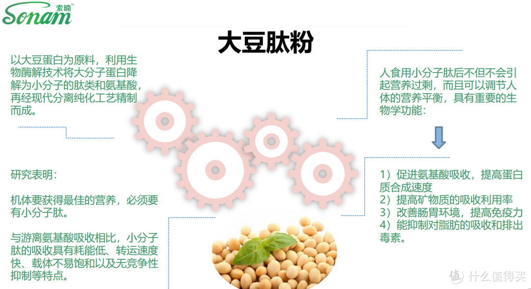 什么是真正意义上的代餐粉