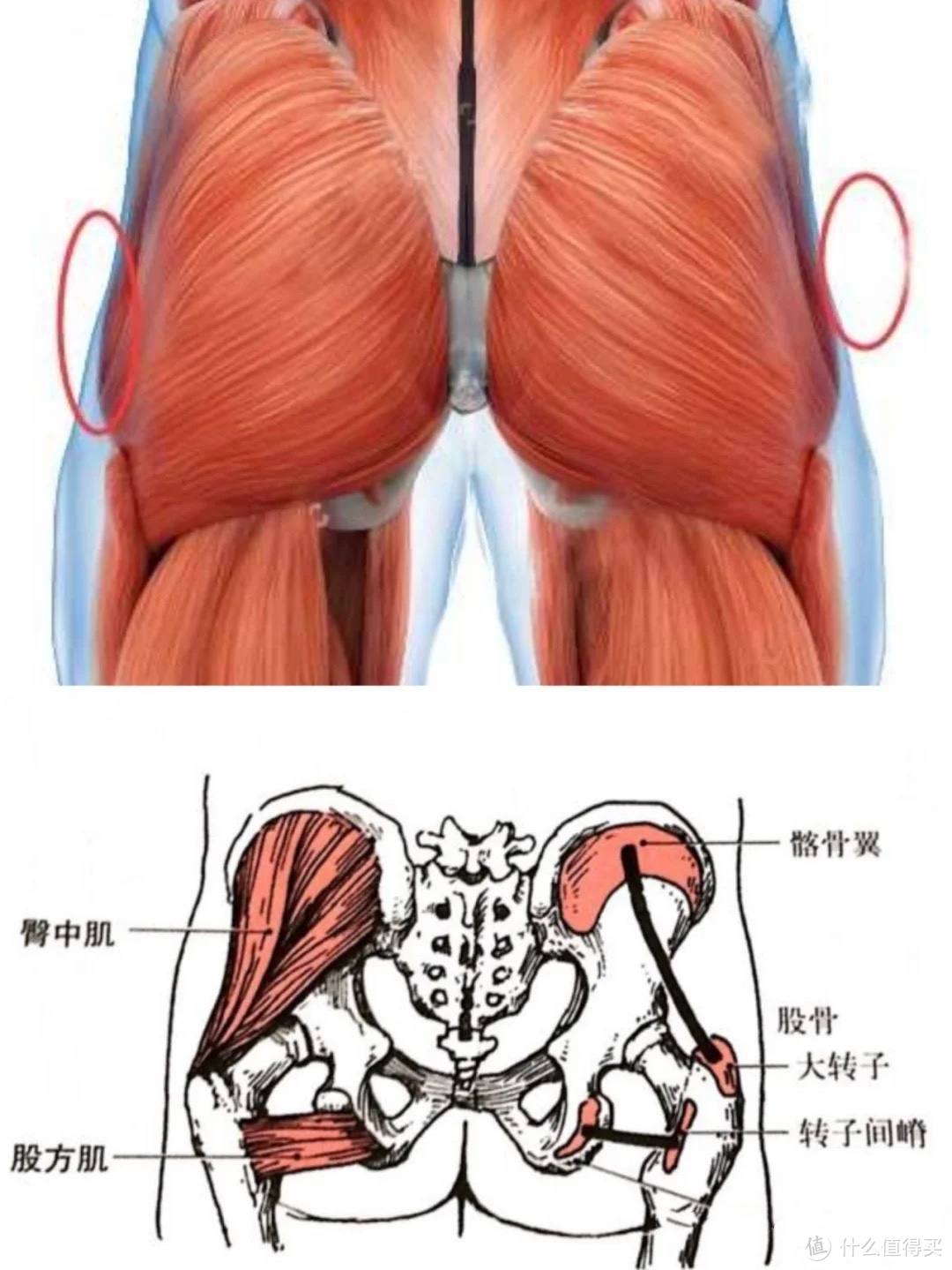 居家健身翘臀瘦身两不误，椭圆机的好处与使用方法