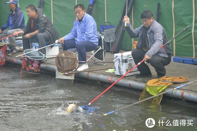 钓圈19期：新手该如何选择钓竿，了解鱼竿的调性与硬度十分重要～