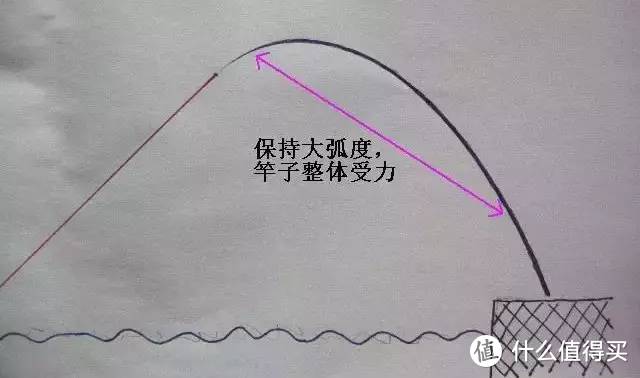 钓圈19期：新手该如何选择钓竿，了解鱼竿的调性与硬度十分重要～