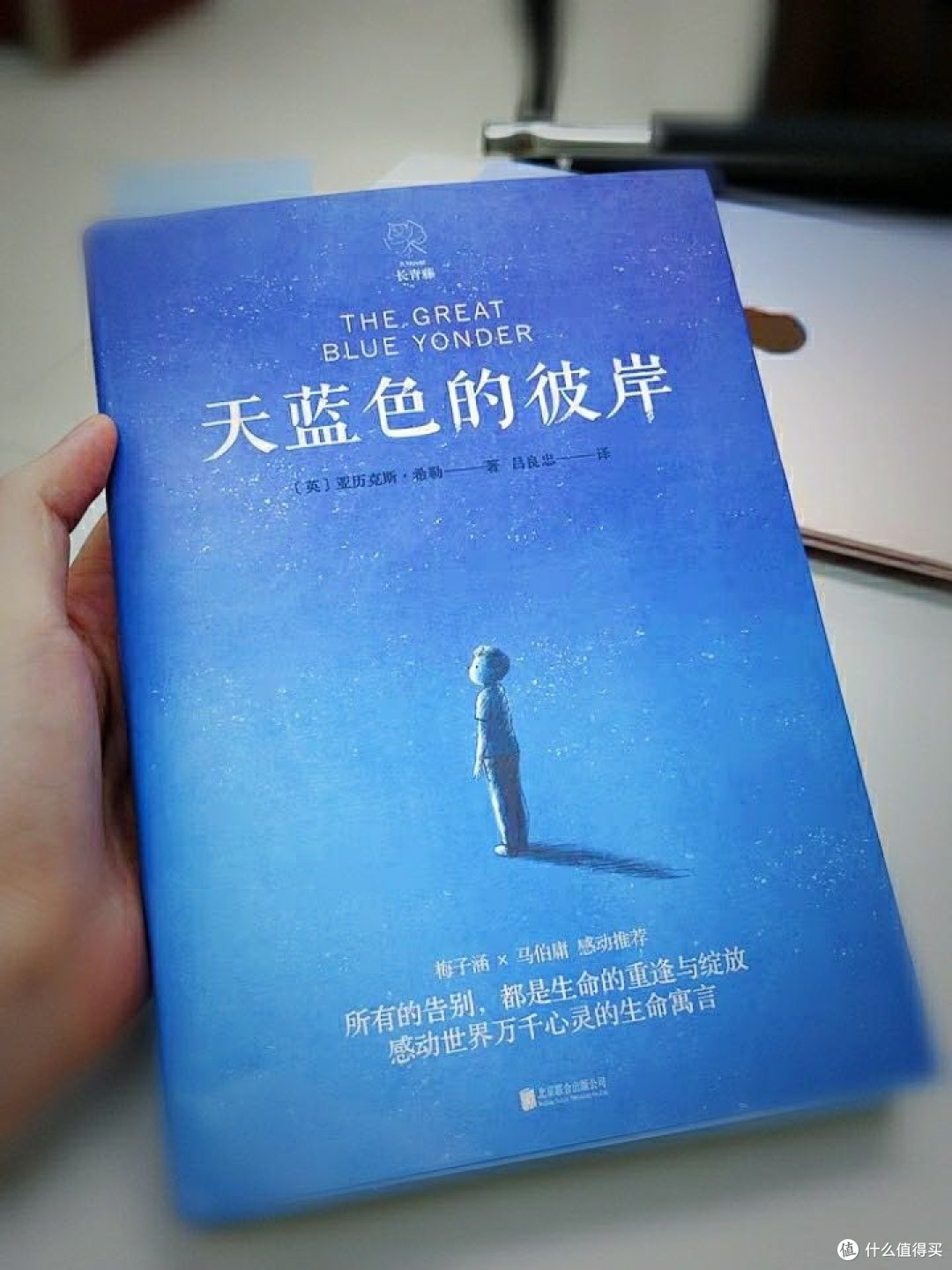 超治愈书单 豆瓣高分推荐 为了这人间操碎了心 催泪合集 上篇 图书音像 什么值得买