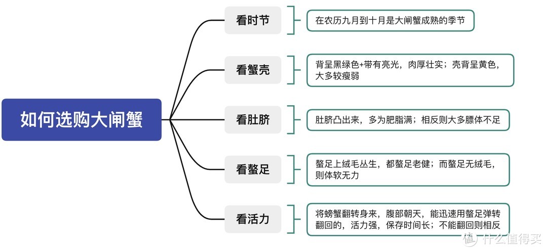 楼主总结购买大闸蟹的经验