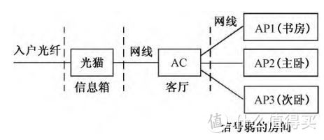 结构展示