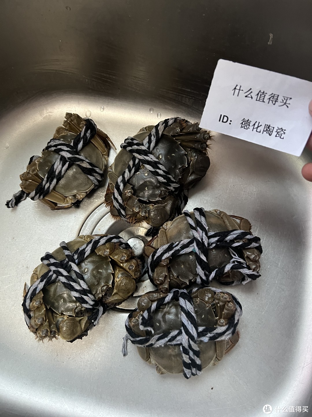 自制阳澄湖大闸蟹美食：舌尖上的华丽舞步，生鲜食谱绝味佳品，值得吃！