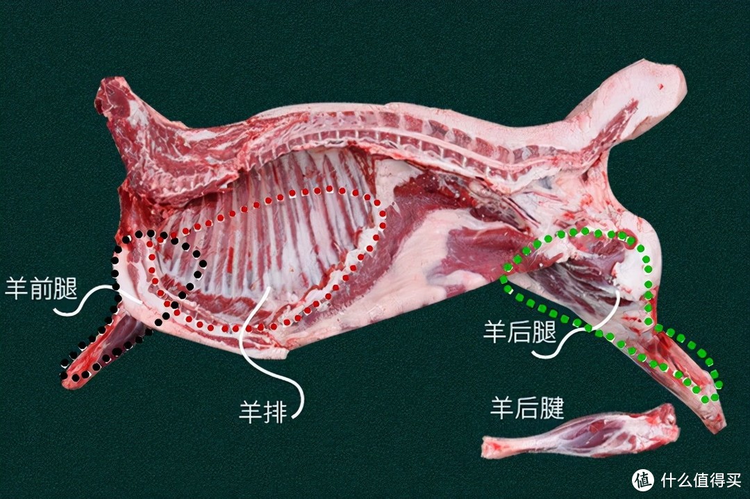 买羊腿，你能分清“前腿”和“后腿”吗？做法差别大了，别买错