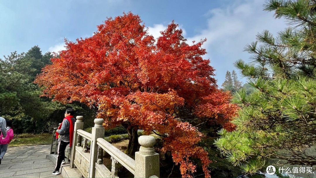 庐山红色旅游景点图片