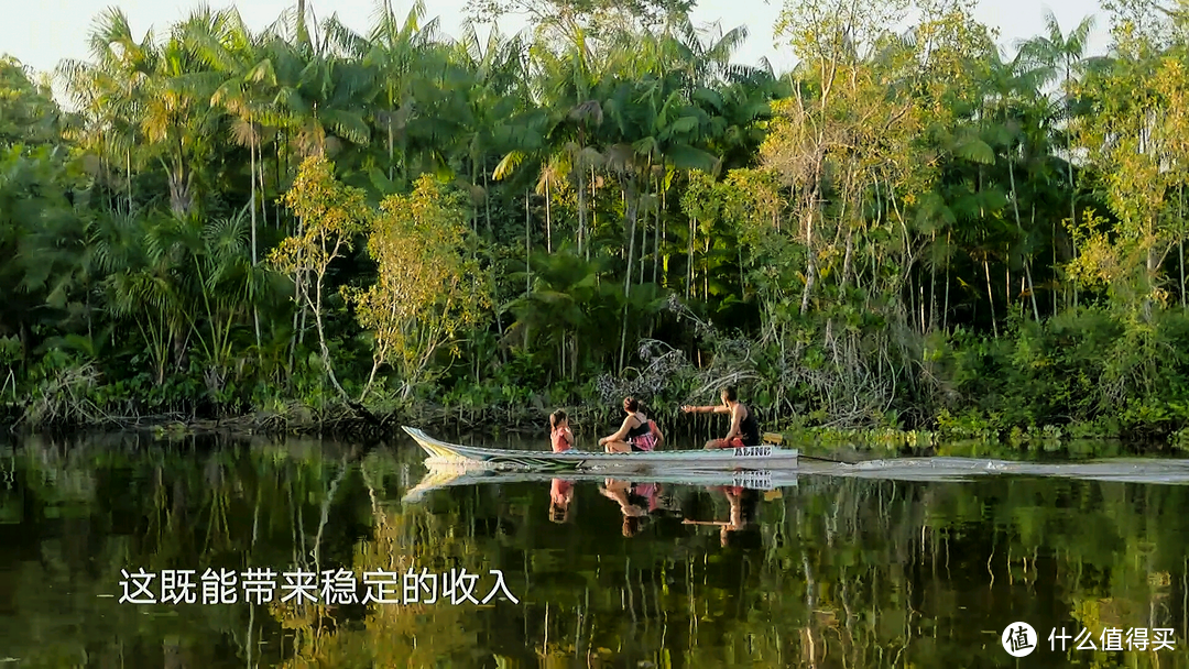 娃娃最近一段时间最喜欢的纪录片，投大屏幕看很爽