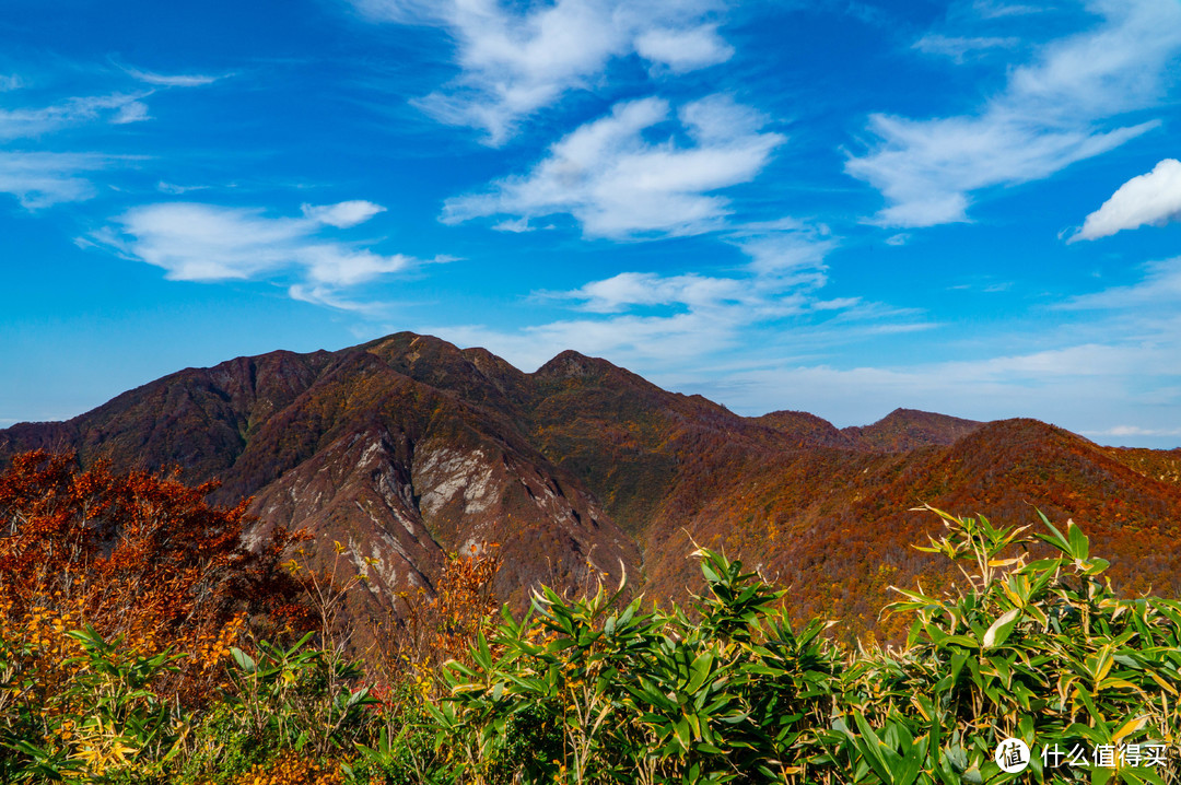 秋登燕三条白根山看漫山红叶