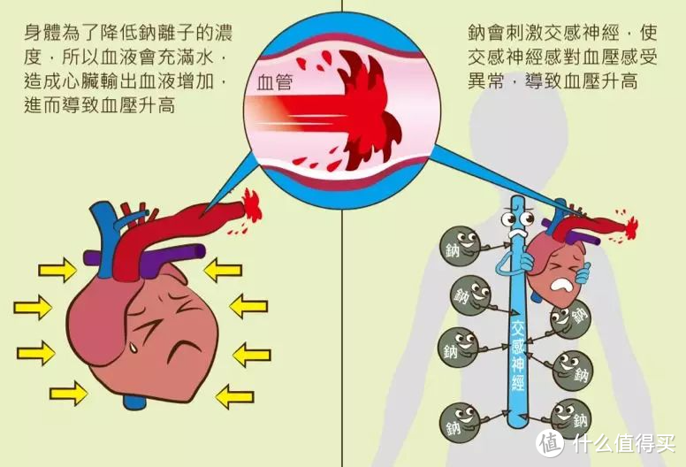 就算你吃的盐比我吃的饭还多，也不能证明你会买盐！