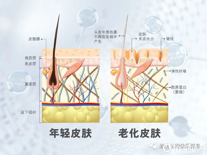 美容别再靠猪蹄！不用多花一分钱的护肤方案来了，手把手教会你！