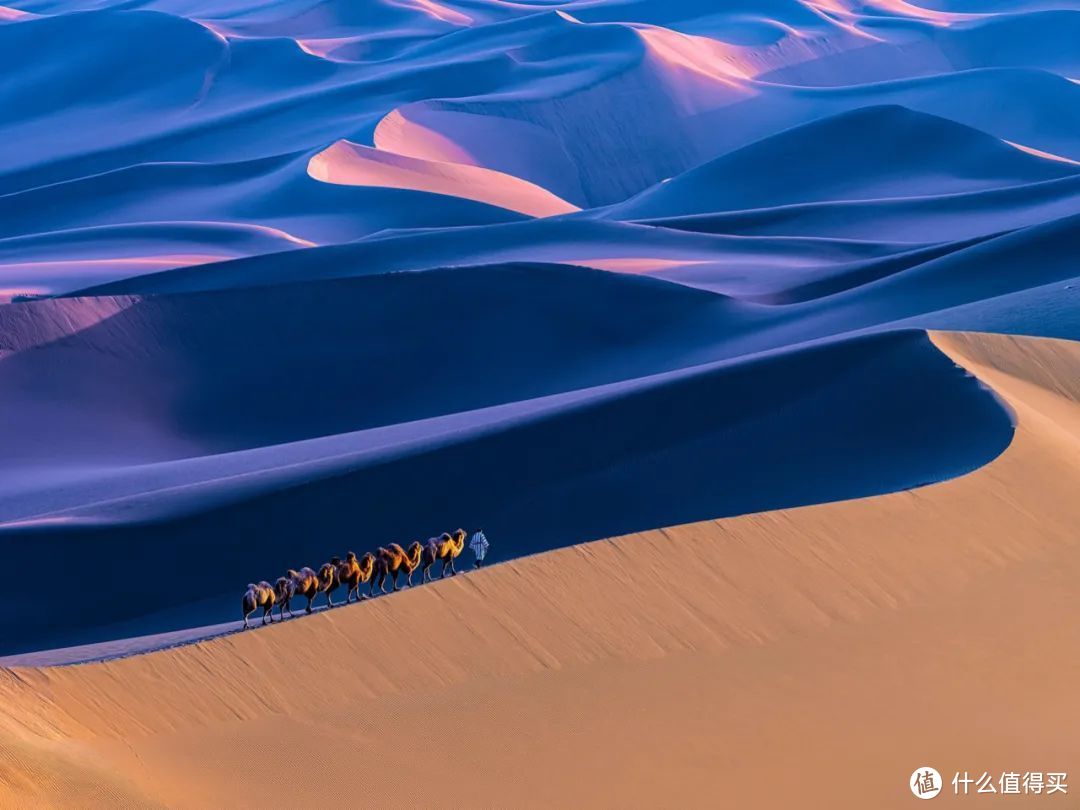 丝路驼铃，夕照下平滑的沙漠地表宛如缎面。©图虫创意