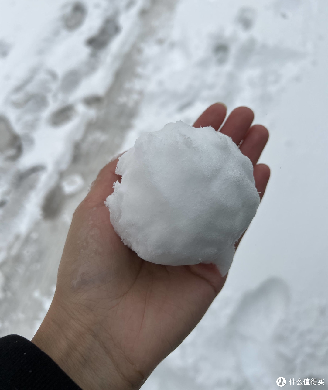 下雪天和羊蝎子更配哦！手把手教你做地道的老北京羊蝎子，不好吃你来找我！