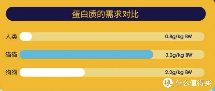 2021双十一猫粮销量榜大揭秘，10款榜上有名，收藏起来下次直接跟着买！