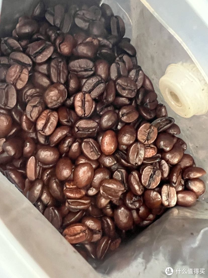 咖啡豆的本体