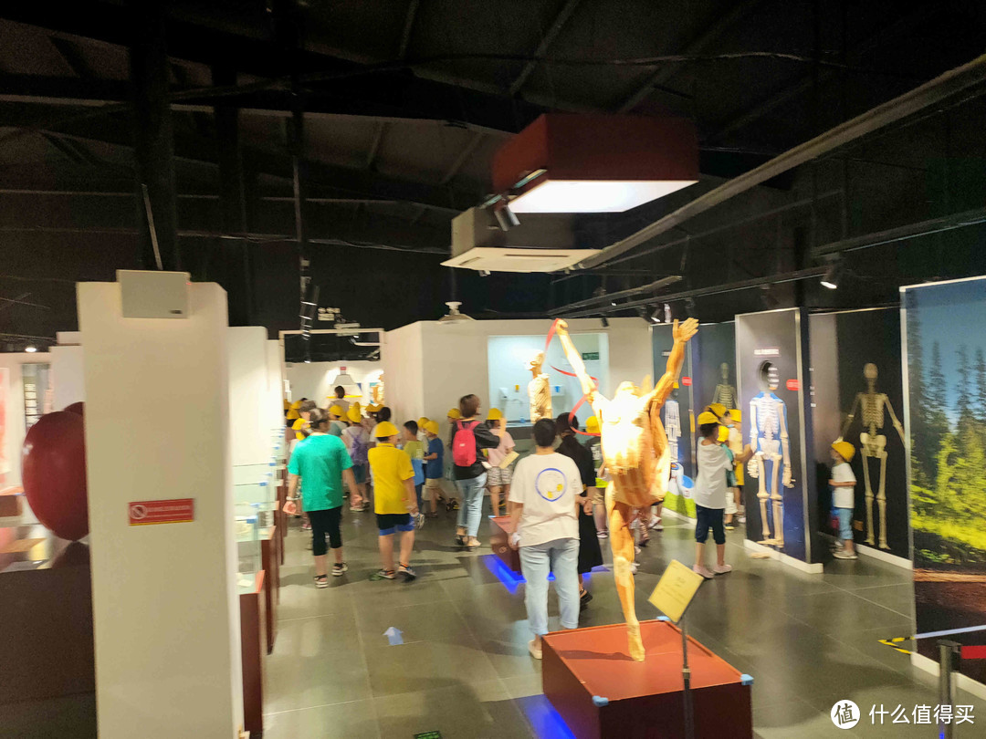 揭秘河南首座科學教育展覽館鄭州生命與健康科學館