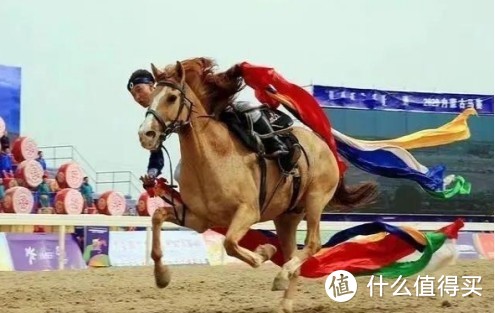 珠海赛马视角:从内蒙古赛马到珠海赛马,赛马的综合发展！