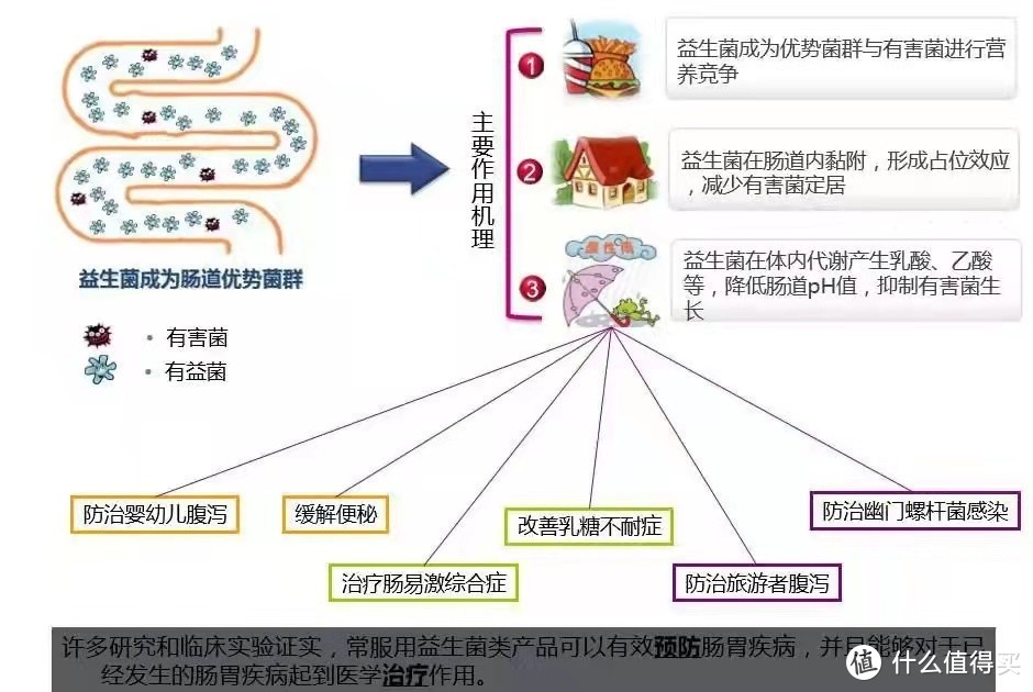 黄文波健康三道防线图片