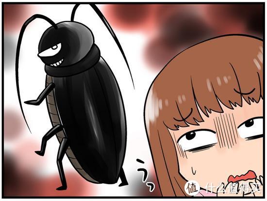 打不死的"小强"