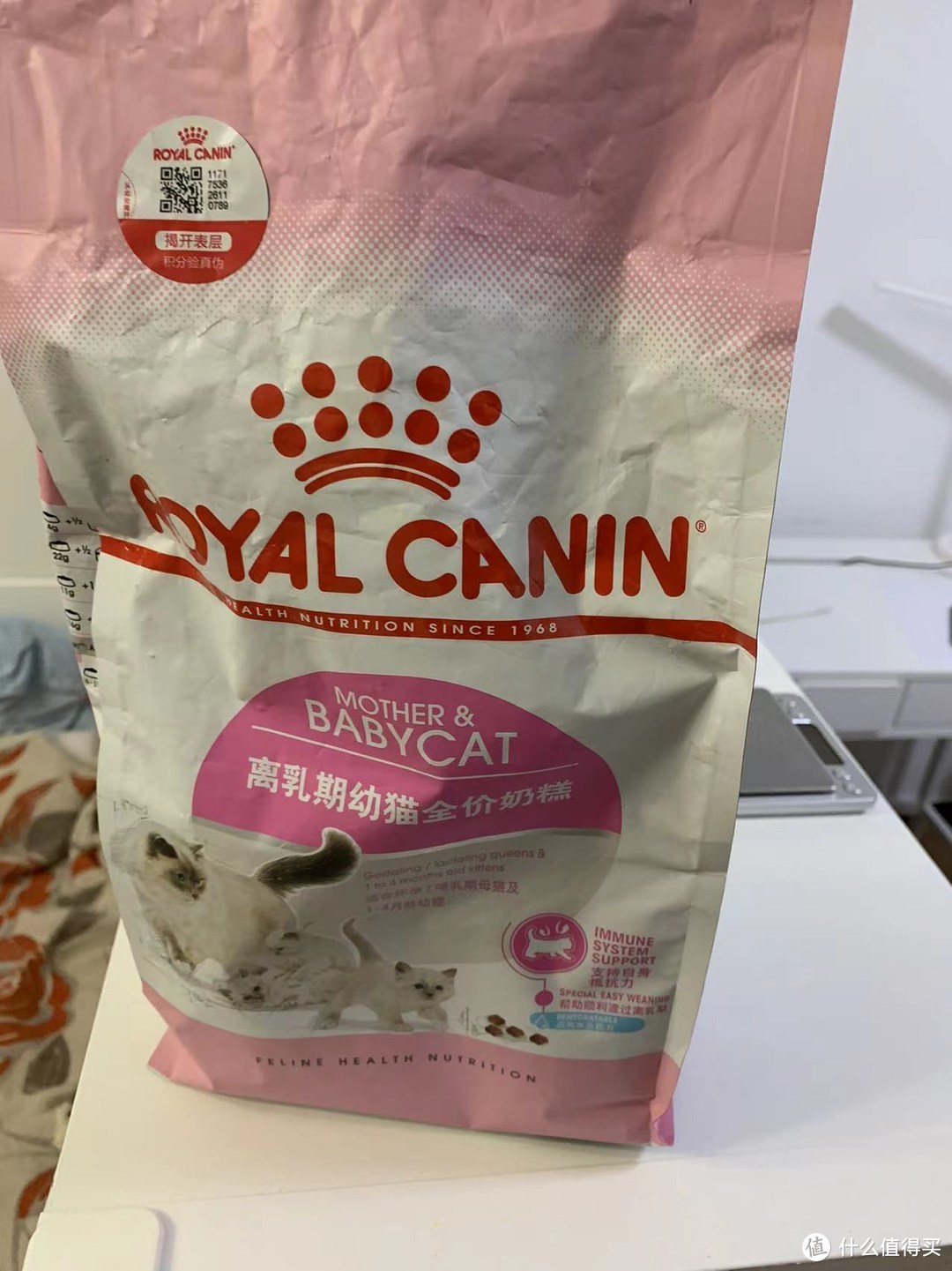 国产猫粮行不行？好主人猫粮安利一波