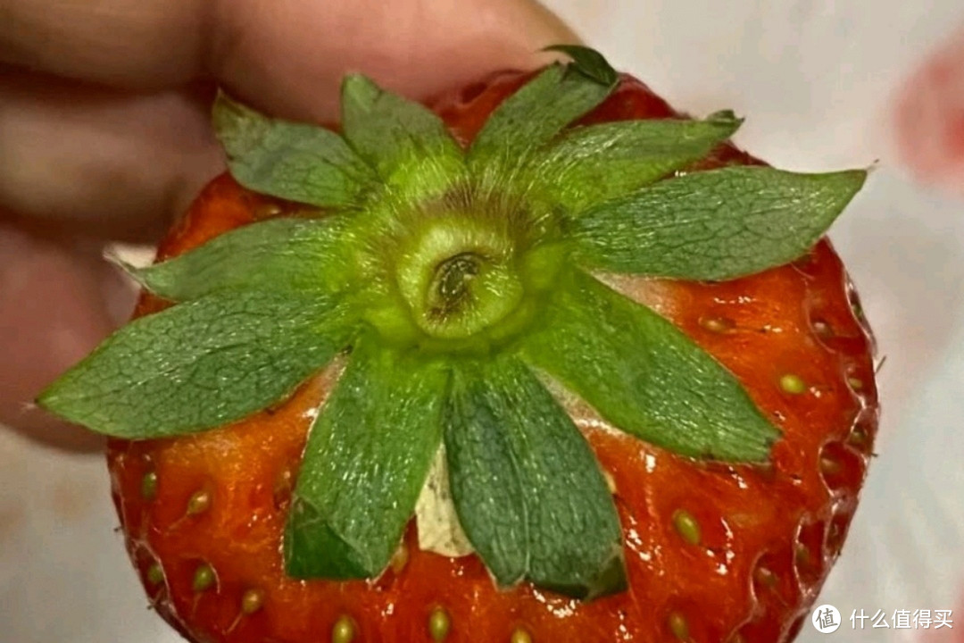 挑草莓，该选“大的”还是“小的”？学会4招，轻松挑到甜草莓