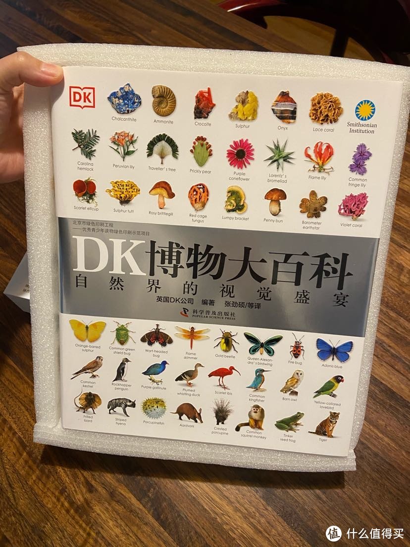 dk博物大百科图标图片