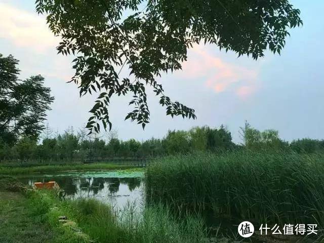 郑州自驾去黄河边去哪好玩，这几个地方保证你玩到尽兴！