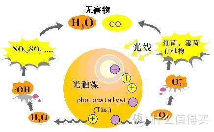 又有一点小进度，去除家中有机物，不妨做个净化室