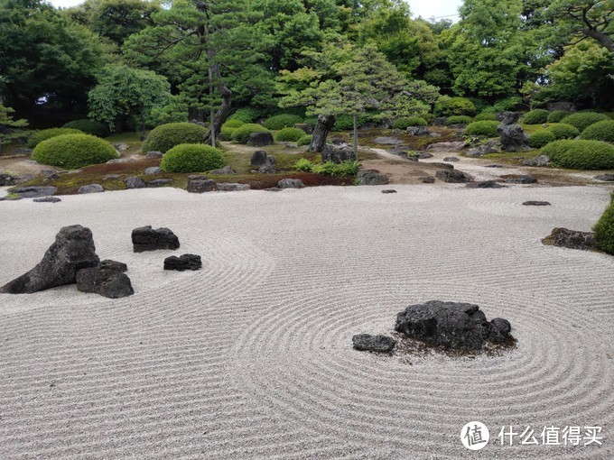 海洋量子号——扶老携幼的岸上自由行可行性报告