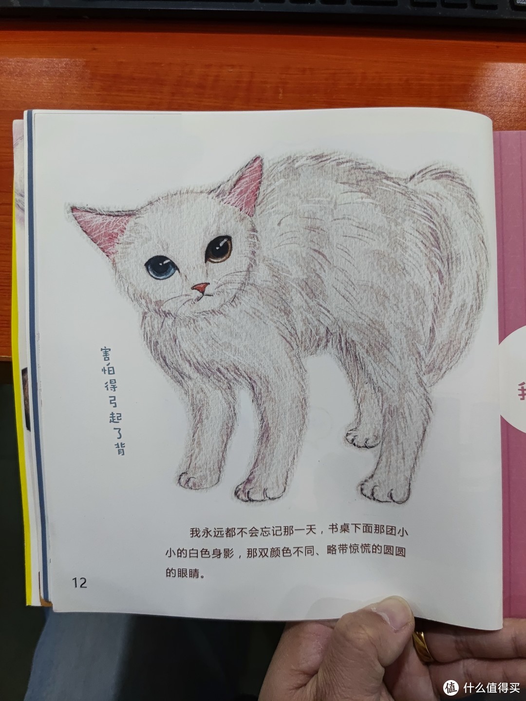 图书馆猿の2021读书计划68：《无法抵挡一只猫》