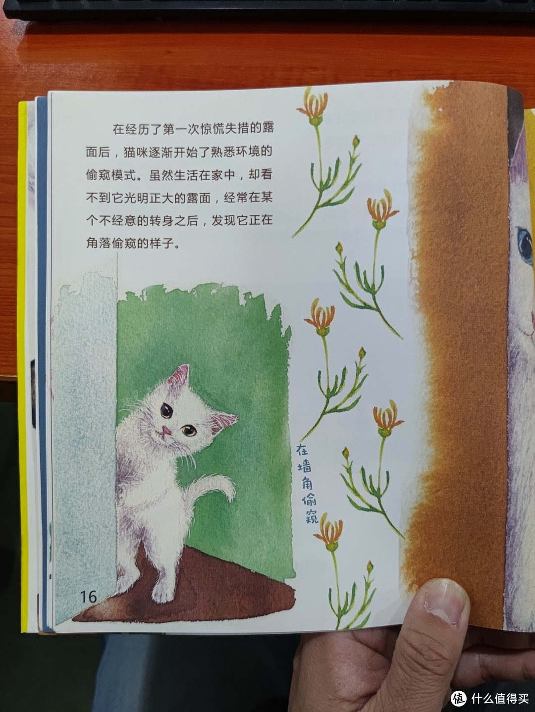 图书馆猿の2021读书计划68：《无法抵挡一只猫》