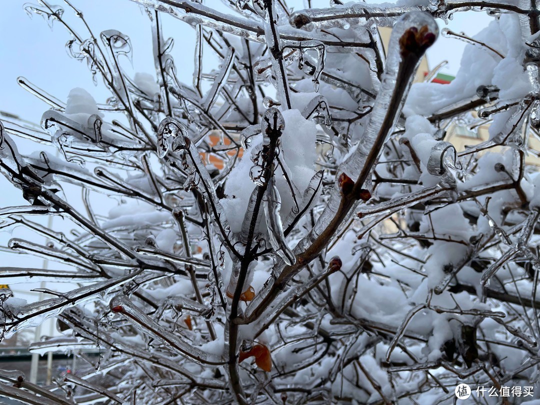 冰雪天气还想骑车？看我用Autowit汽车应急电源，汽车一键启动