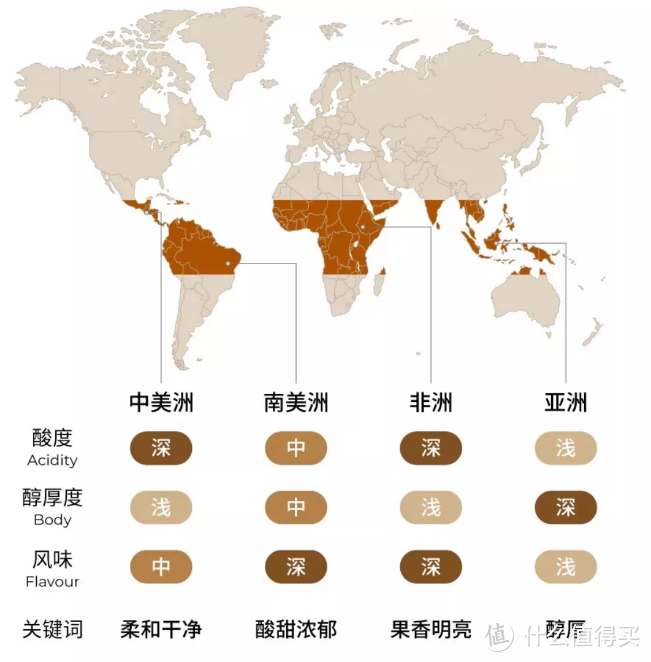 手把手教你选咖啡豆，精细到每一个环节