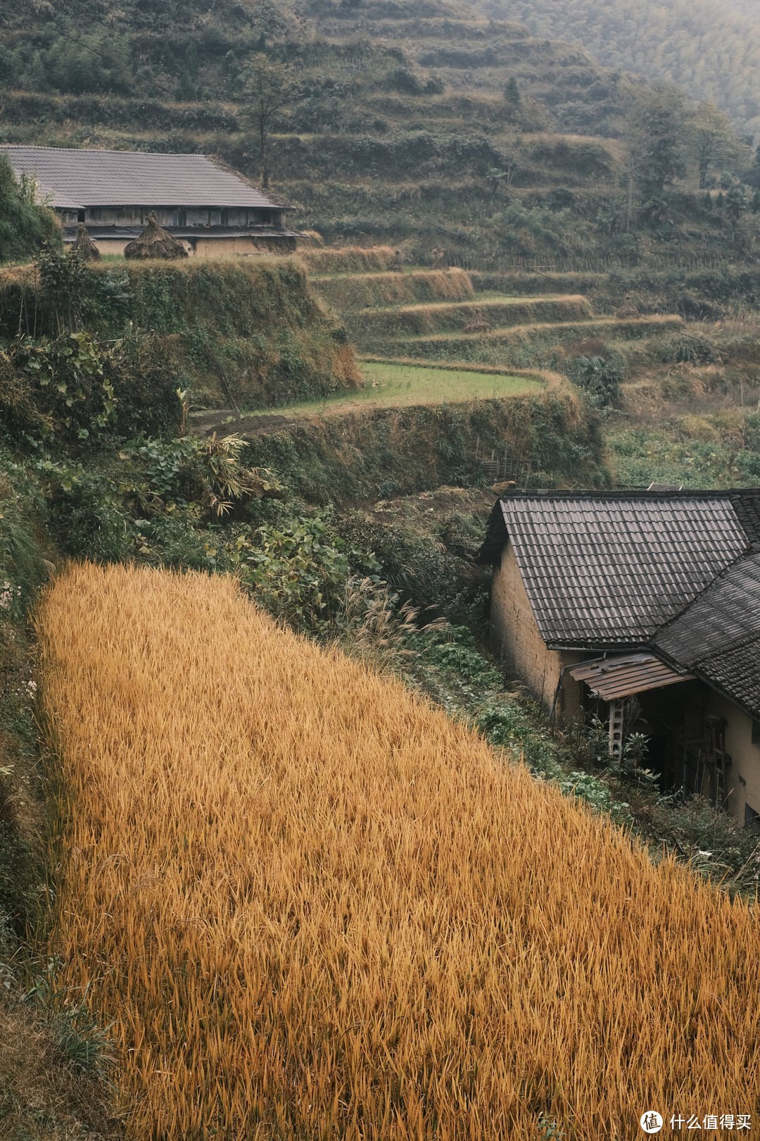 江浙沪小众旅行地之丽水篇-云和、松阳