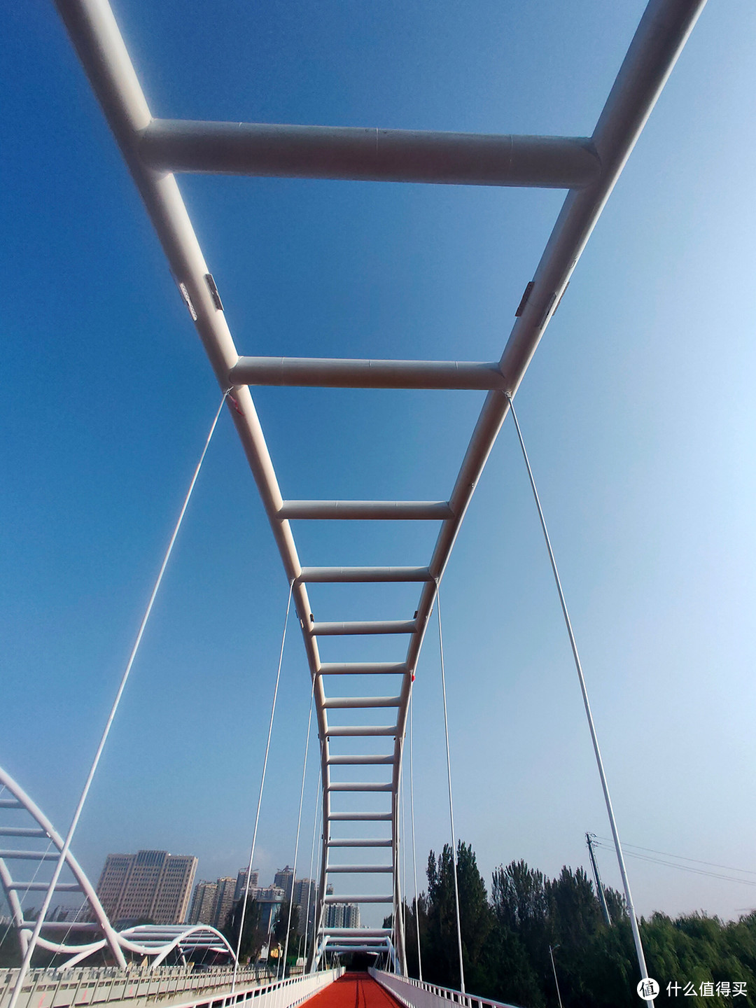 手机摄影：记录湿地公园独特的大桥