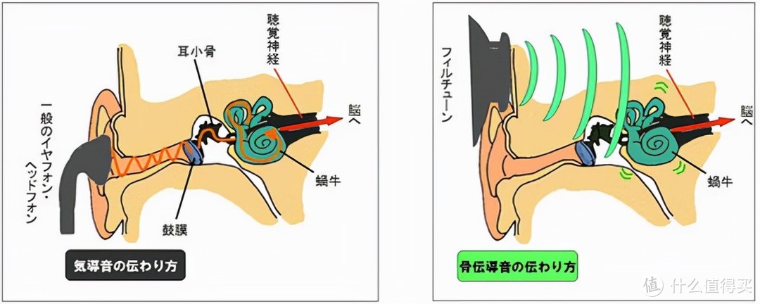 性能王者！南卡Runner Pro 2骨传导上手体验