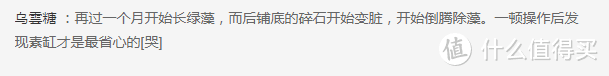 果然没有一个缸可以逃过长藻的命运