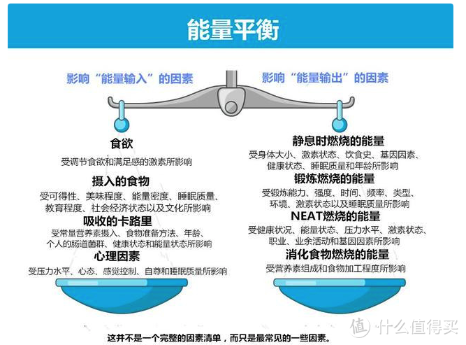 是能量平衡，还是激素？到底什么让你胖？