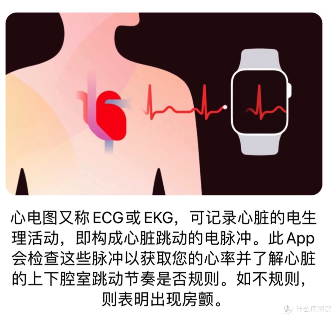  苹果用户狂喜，国行ECG心电图功能推送，Apple Watch开通仅需两步