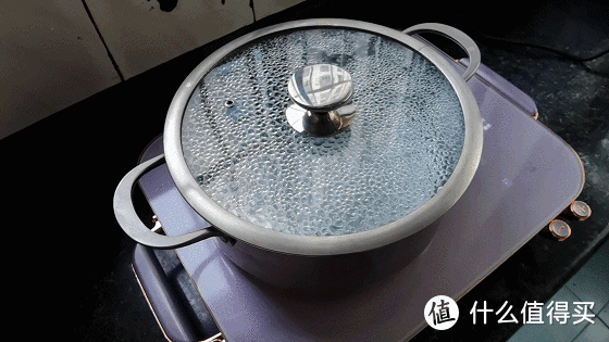 不挑锅具，颜值与实用兼备：大宇多用途电陶炉体验