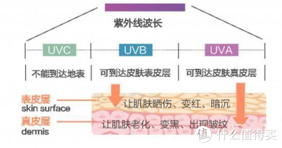 紫外线伤害皮肤