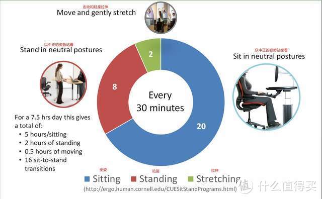 如何组建一套符合自己需求的人体工学套装？达宝利master人体工学椅使用评测