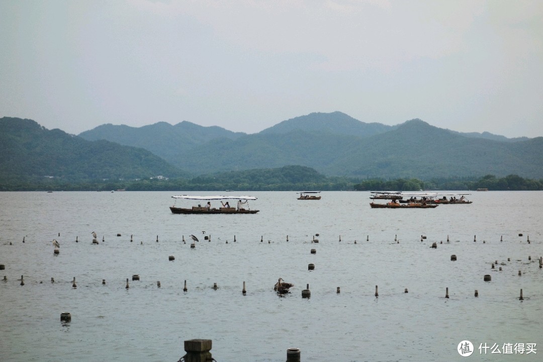 中国南昌 景徳 魅力・西湖 花瓶 - 通販 - gofukuyasan.com