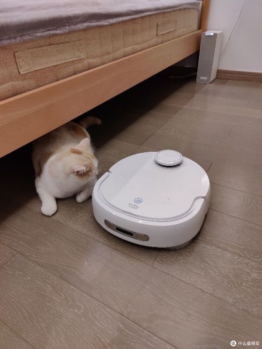 云鲸j2扫拖一体机实测 详解到底要不要入手 扫地机器人 什么值得买