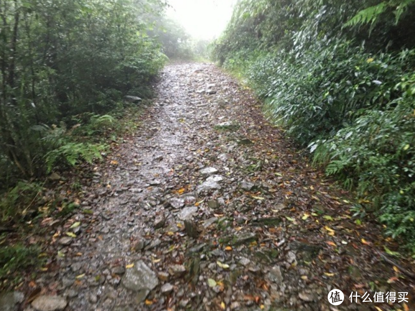 2021旅行生活游记-名不见经传的「浸水」营古道之旅之一