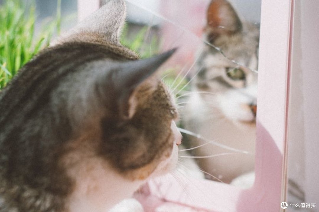 200元的单反，还能用吗？｜佳能350D使用体验