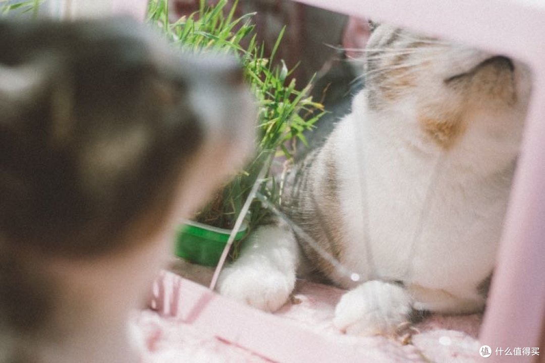 200元的单反，还能用吗？｜佳能350D使用体验