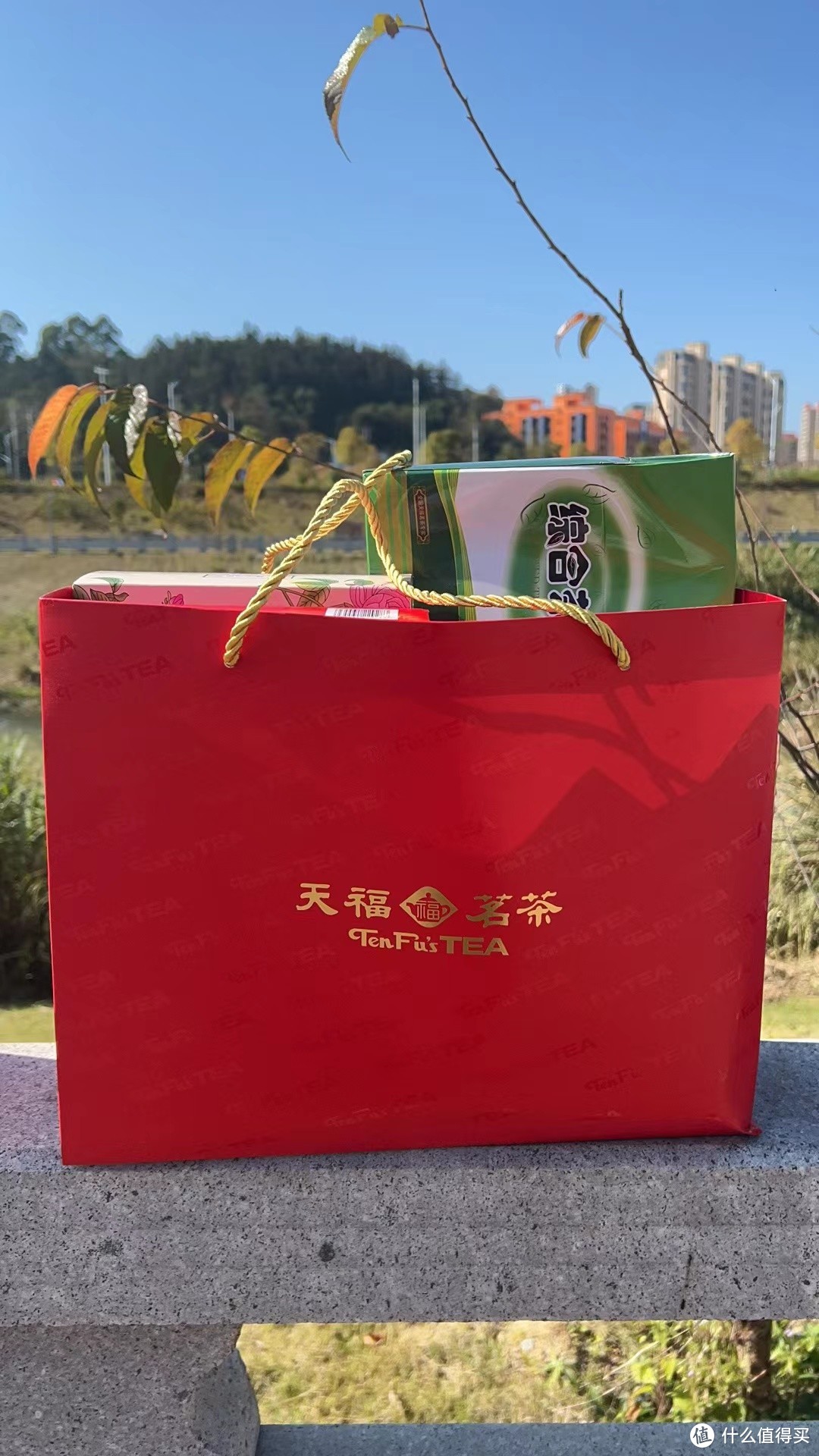 天福茗茶茶食礼包摄于郊游