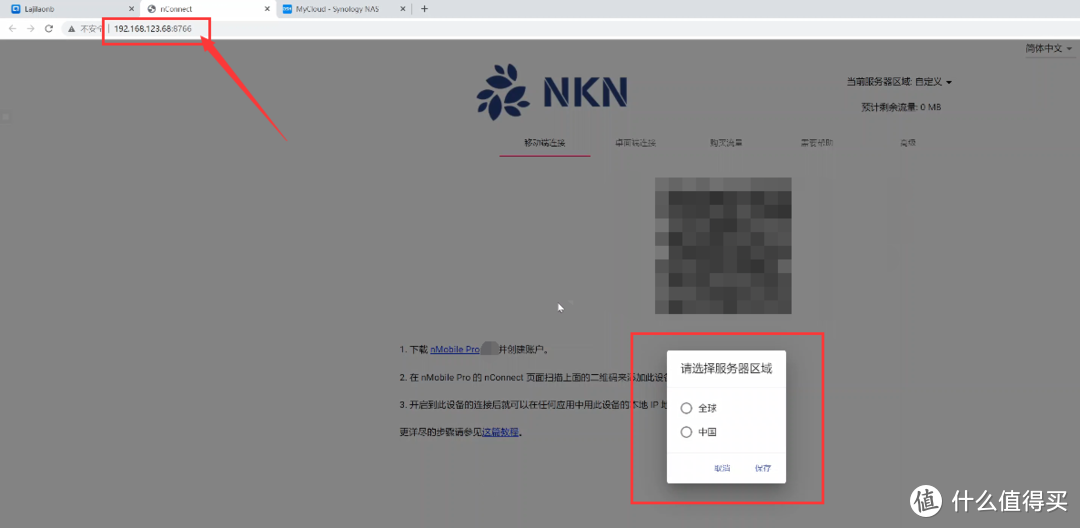 巧用组合拳搞定NAS外网访问，简单易上手，NKN+Qlink方案